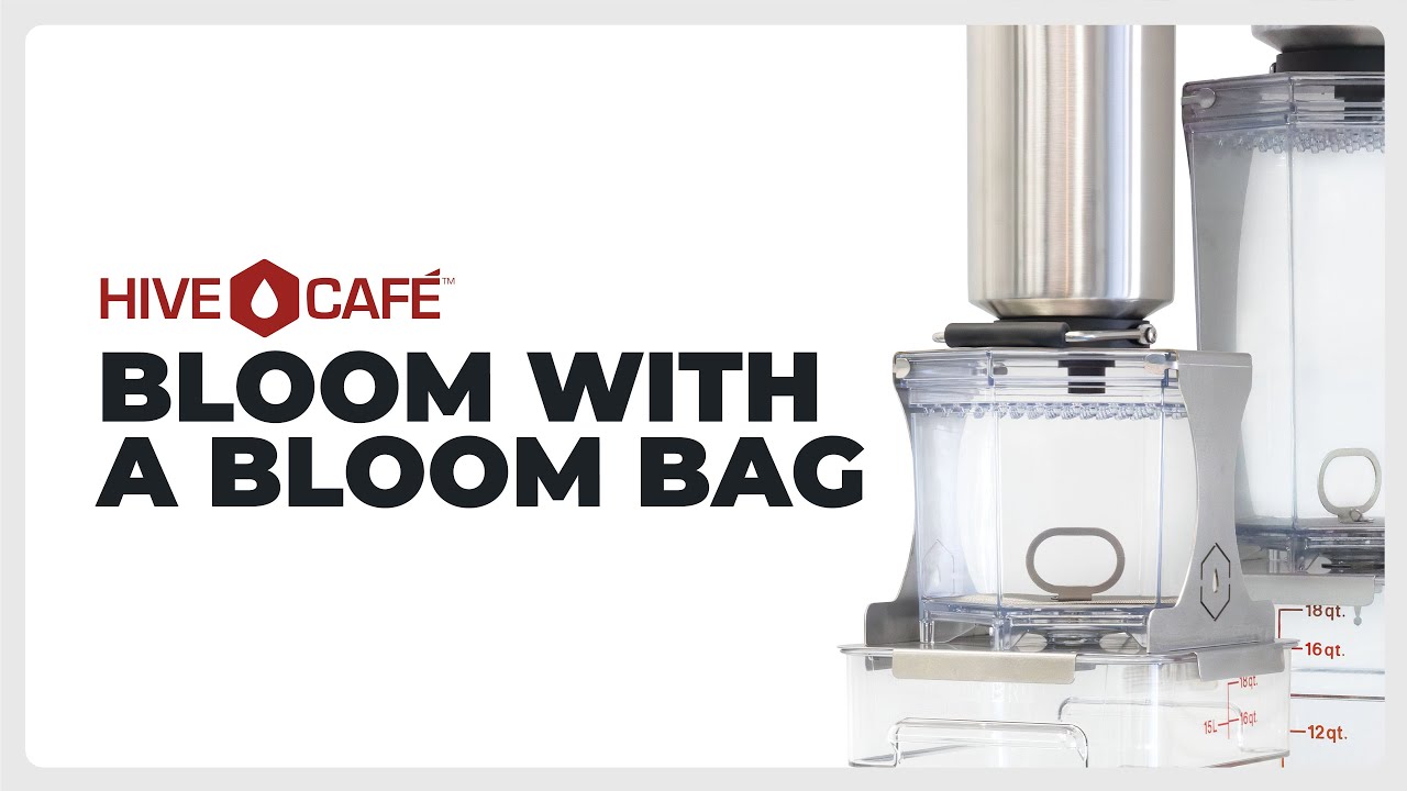 Bloom Your Coffee With a Bloom Bag - HIVE Café