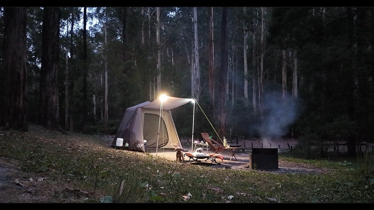 Camping in the Otways National Park, Victoria | Australia. Tent camping in rain forest. [ASMR]