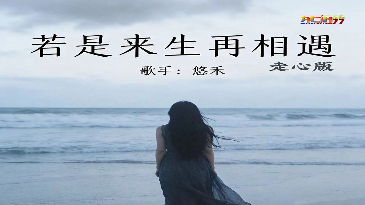 悠禾 - 若是来生再相遇 (走心版) - You He - Ruo Shi Lai Sheng Zai Xiang Yu (Zou Xin Ban)