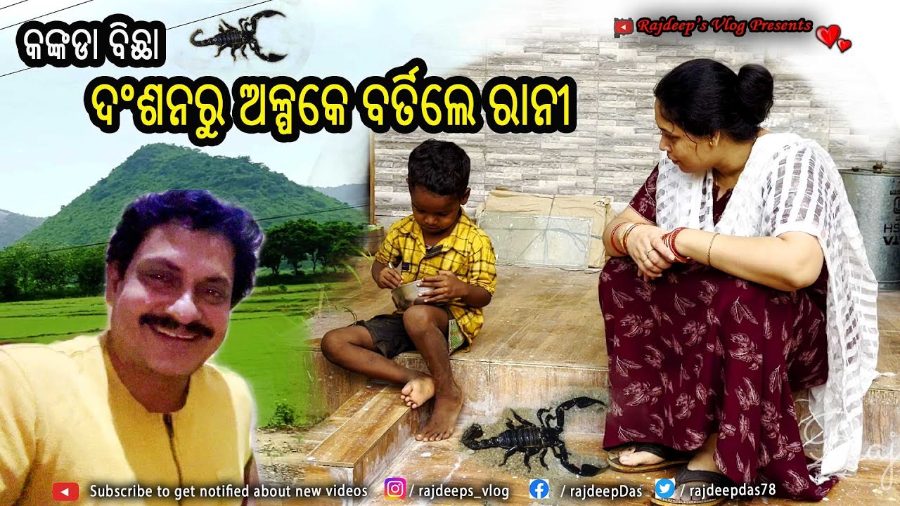 କଙ୍କଡା ବିଛା ଦଂଶନରୁ ଅଳ୍ପକେ ବର୍ତିଲେ ରାନୀ | Rajdeep's Vlog - 210