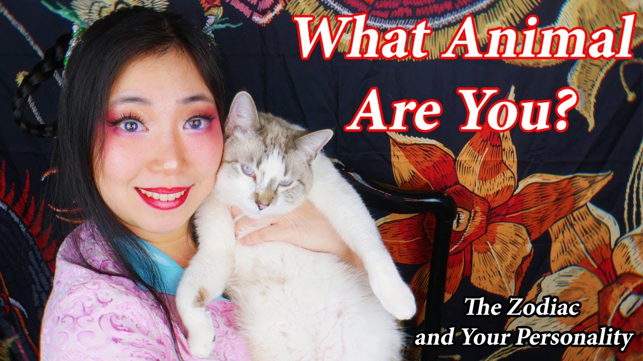 Your Zodiac and You!