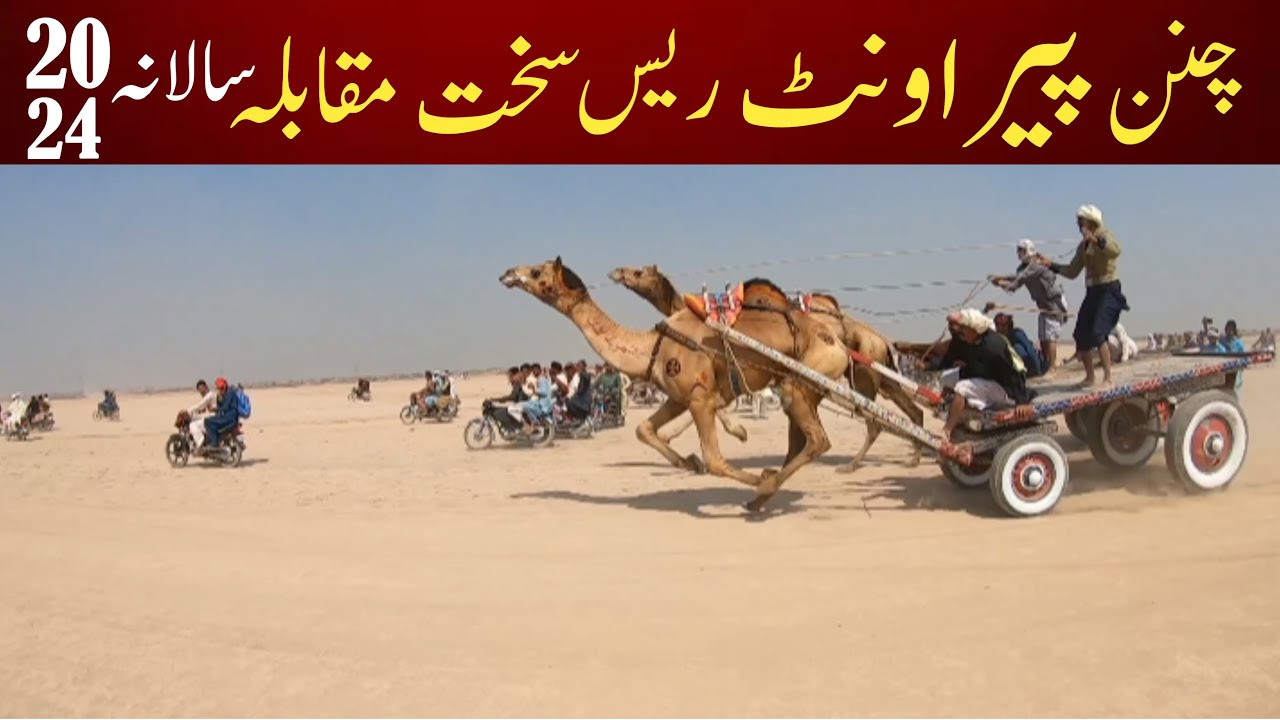 Cholistan Chanan peer Mela 2024 camel race 2024 best of camel race in Pakistan 2024