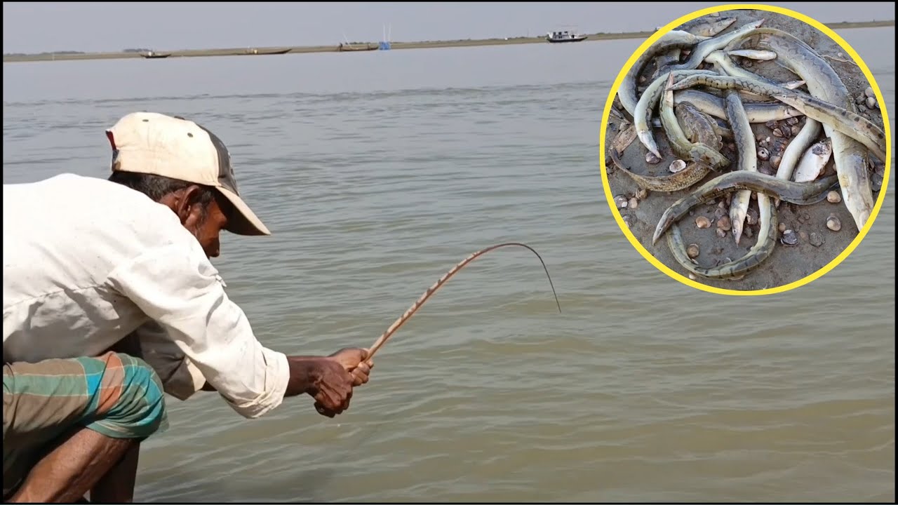 নদীতে চিংড়ি মাছ দিয়ে বাইম মাছ ধর, বাইম মাছ ধরার টোপ | Abdullah Fishing BD