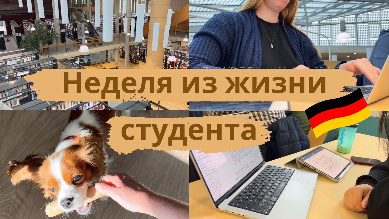 ВЛОГ: Жизнь студента в Германии  🇩🇪 Учёба на информатике + работа в стартапе