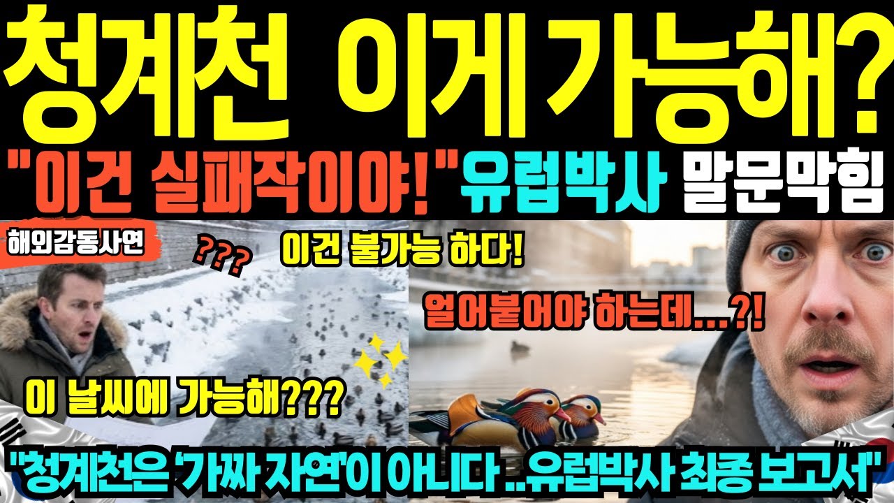 [해외감동사연]