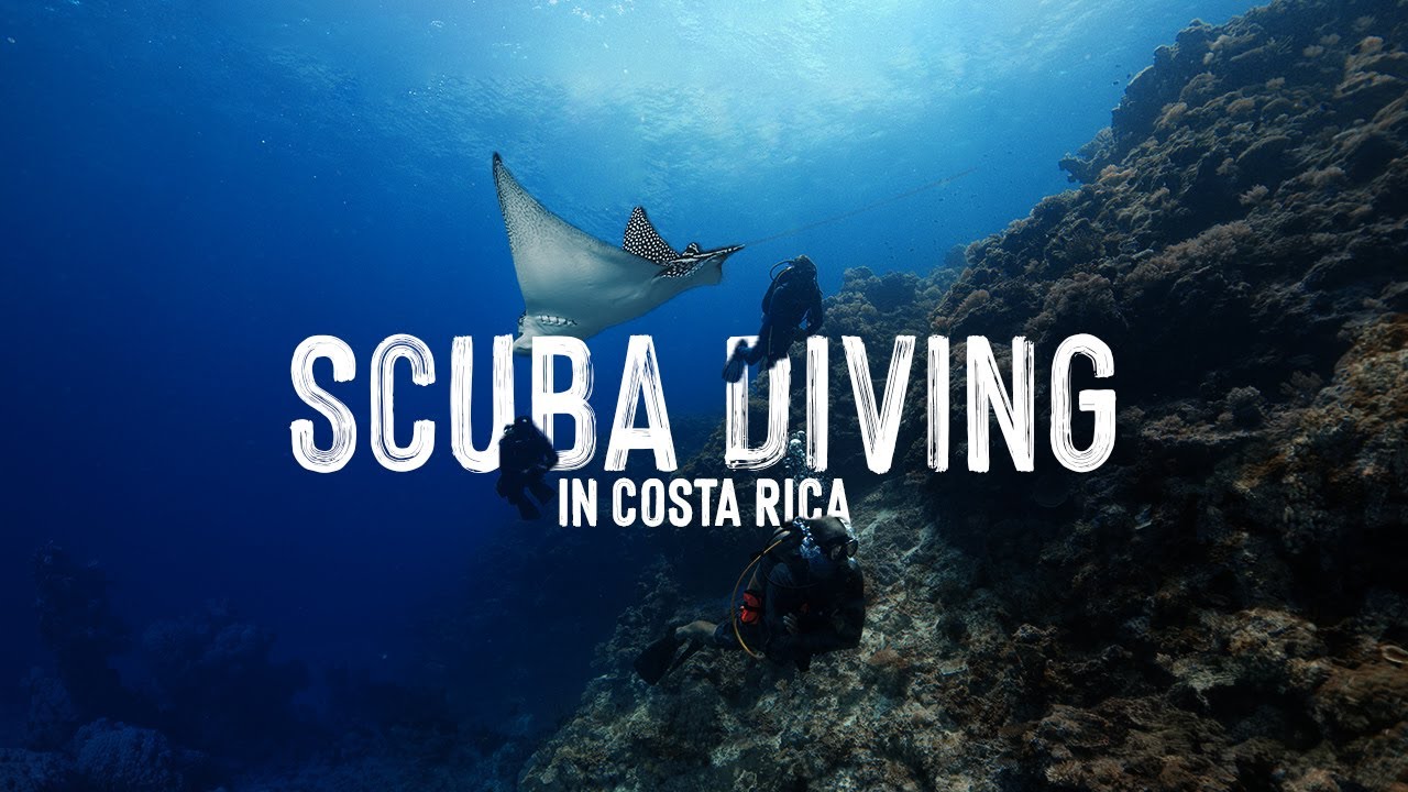 Why Everyone Is Talking About This Scuba & Snorkel Spot in Tamarindo!