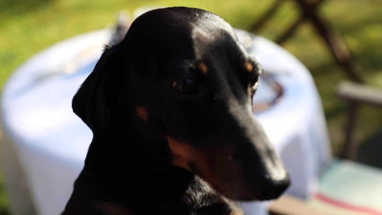 QuarantinEtiquette - Episode 2 - Afternoon Tea - #StayHome #WithMe