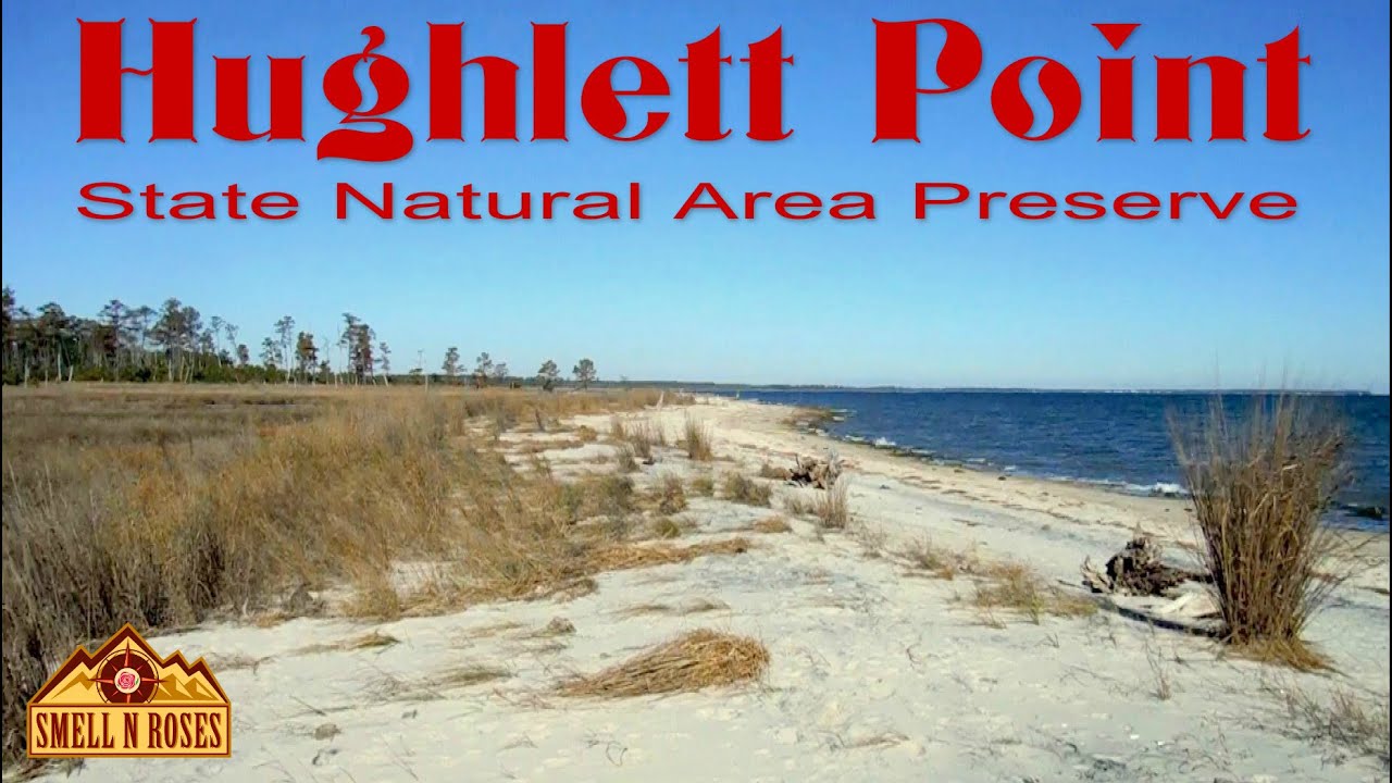 Hiking Hughlett Point Natural Area Preserve, Western Shore of the Chesapeake Bay, Virginia