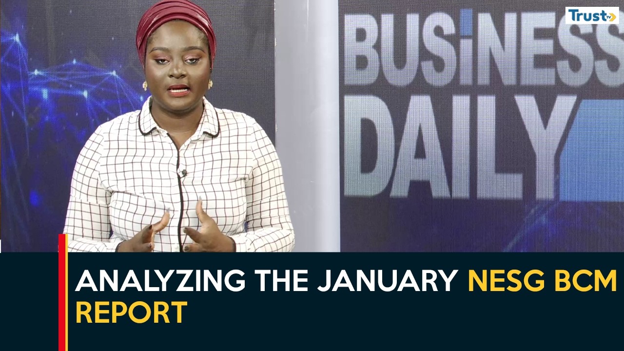 Analyzing The January NESG BCM Report | Business Daily