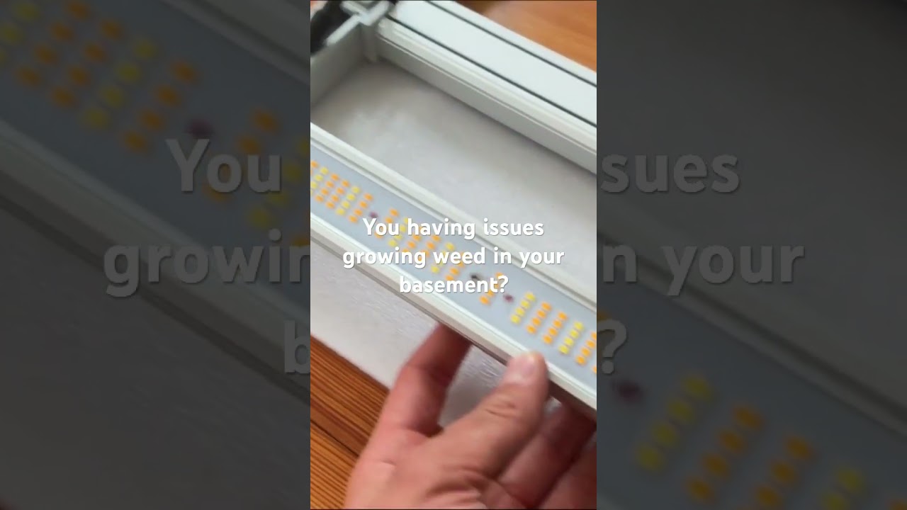 Looking for how to grow weed in a basement? Check my recent video to learn more!