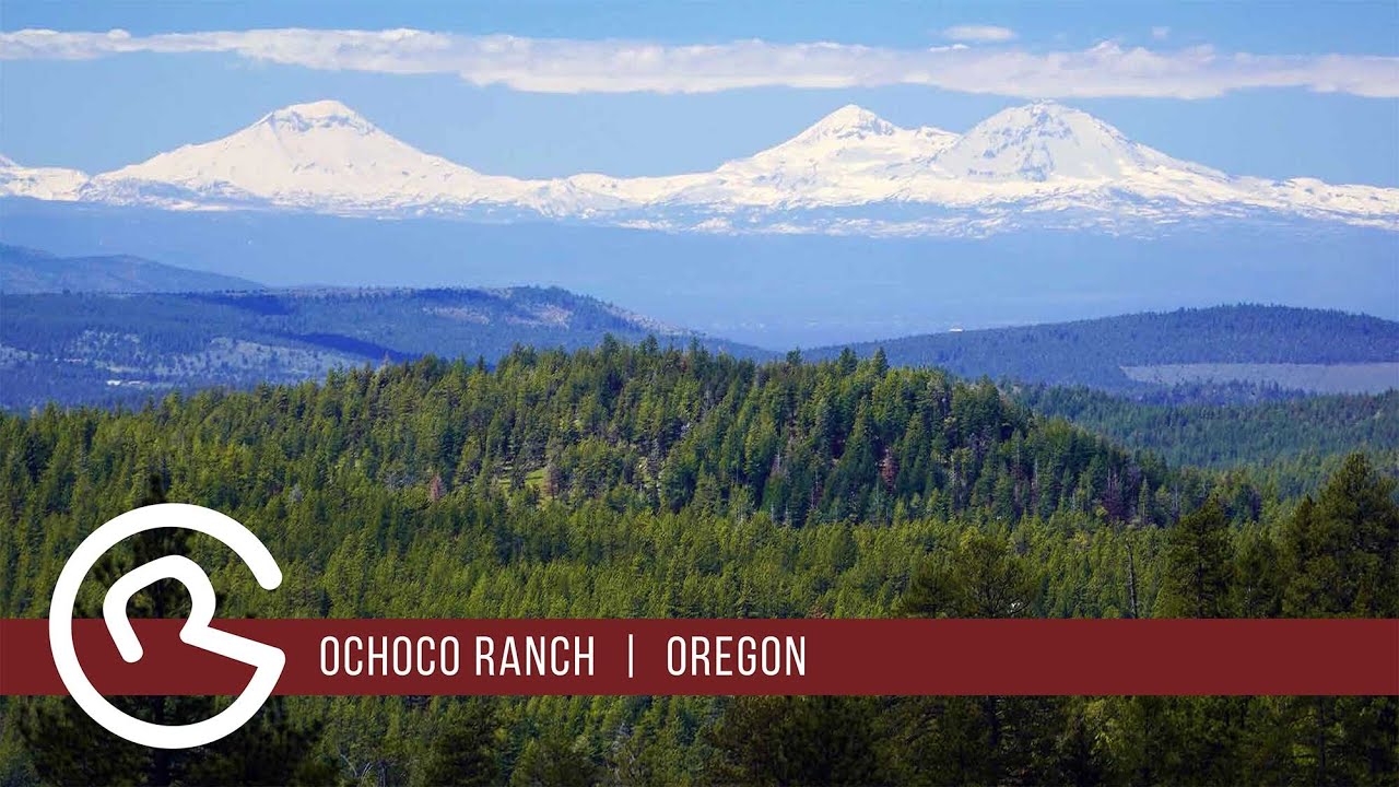 Oregon Timber ranch for sale  - Ochoco Ranch by Mason & Morse Ranch Company and Polvi Real Estate