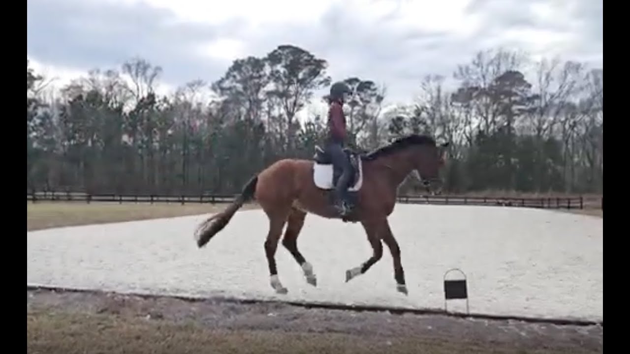 Jones and Fenix Training Level Test 3 January 2026
