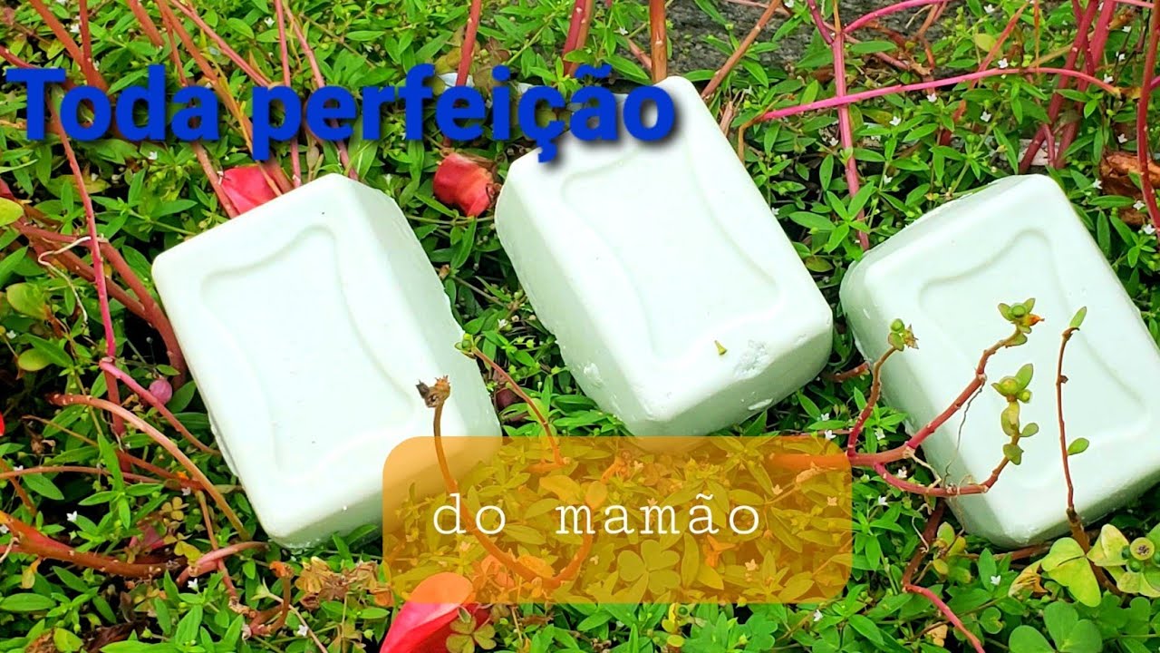 Sabão  clareador com gordura de porco e folhas de mamão  !! uma perfeição