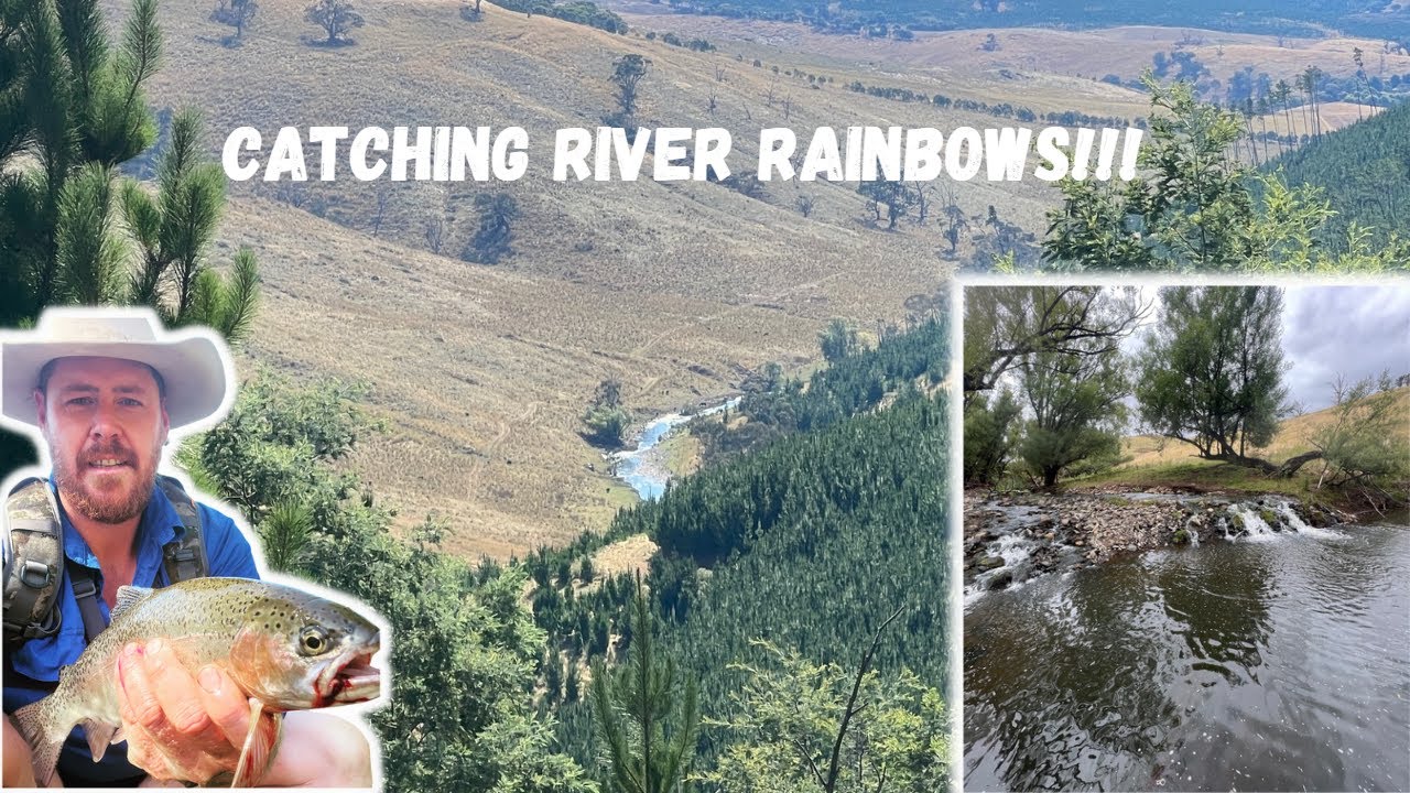 FISHING AUSTRALIA!!! (3 river RAINBOW TROUT!!!)