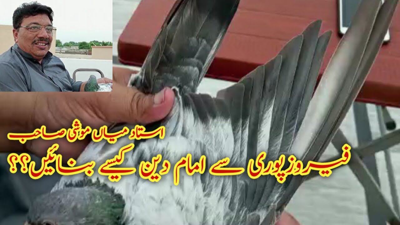 Ustad Mian Moshi sab of Lahore | Ferozpuri Kabootar se Imam Din Kabootar bana diye | Watch Video