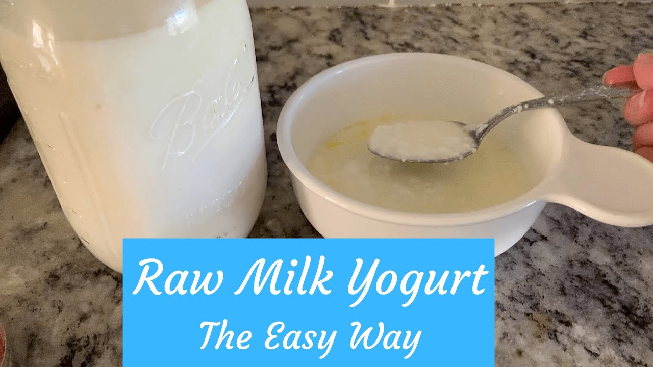 Raw Milk Yogurt the Easy Way