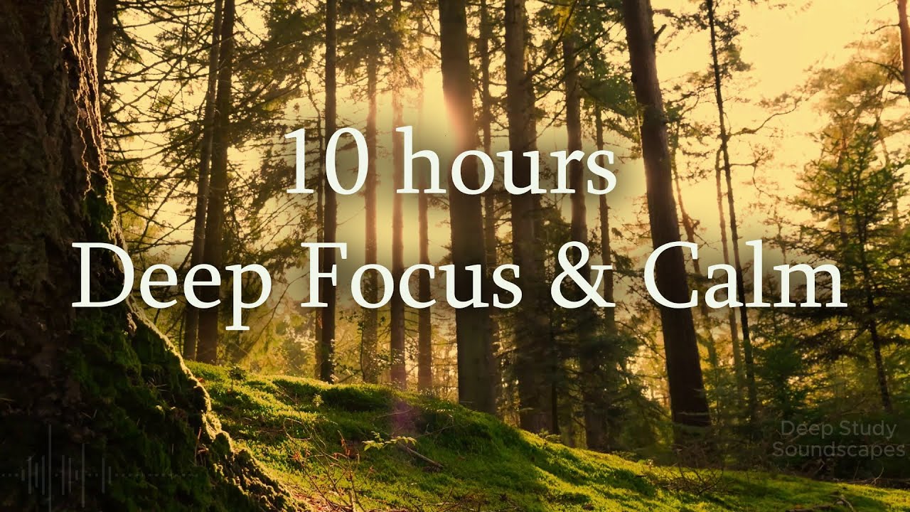 🌿 10 Hours Harp & Irish Flute for Focus, Stress Relief & Calmness 🌿