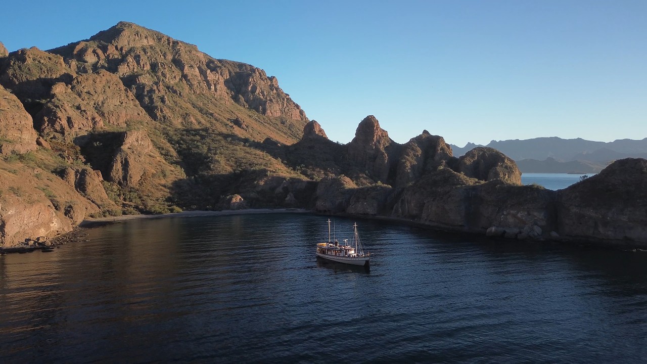 Baja: Exploring the Sea of Cortez February14 - 24, 2026