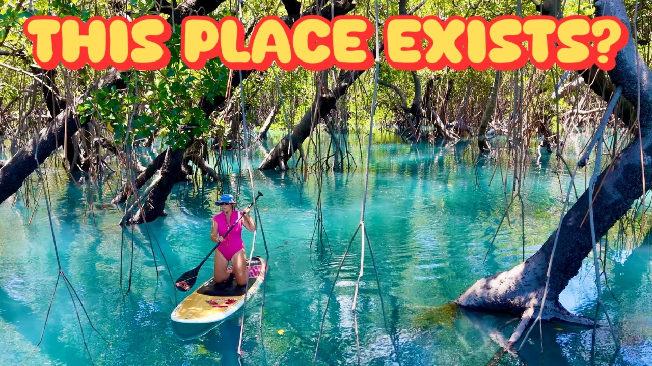Secret Everglades | Mangrove Magic, Percy Island Yacht Club & Crabbing Fails Sailing Australia