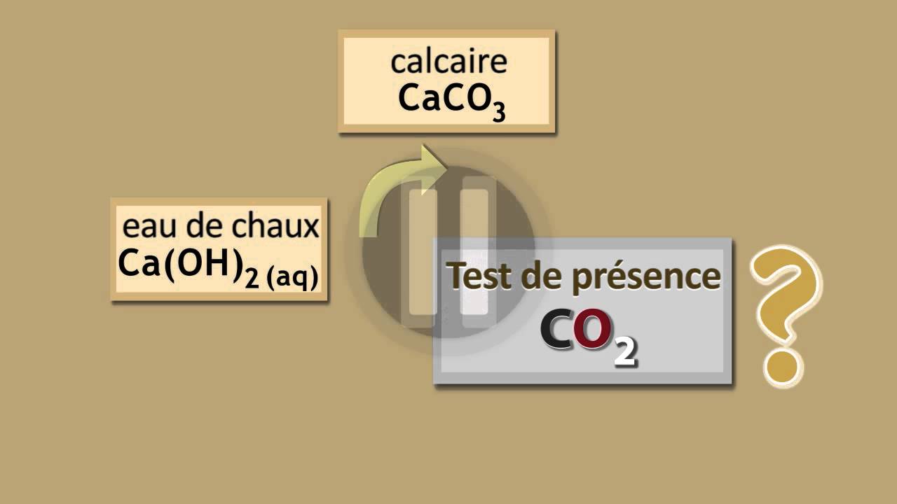 Cycle du calcaire | FuseSchool + Unisciel