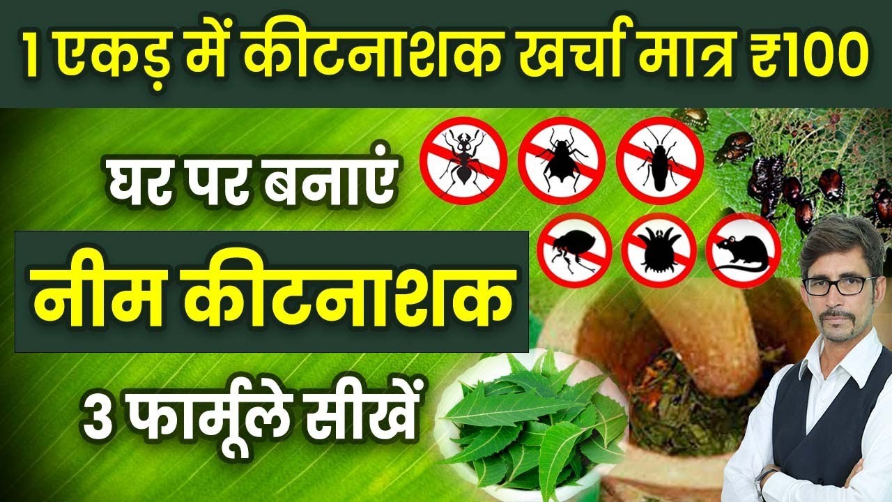 Neem Kitnashak फसल से दूर भागेंगे सफेद मक्खी, तेला, चेपा, गुलाबी सुण्डी | Homemade Neem Pesticide |
