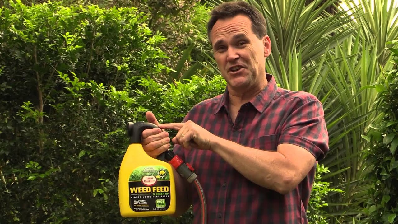 How to Use Weed and Feed Spray Without Killing Plants!
