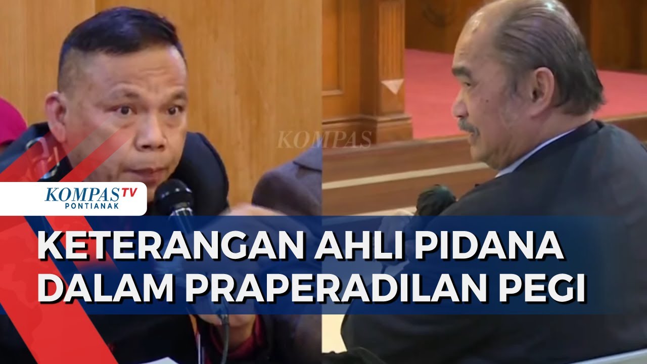 [FULL] Ahli Pidana Suhandi Cahaya Jelaskan soal Perkara Salah Tangkap dalam Praperadilan Pegi
