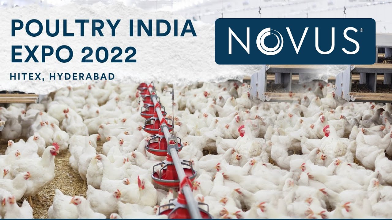 Novus Animal Nutrition | Animal Health And Nutrition Company | Poultry India Expo 2022