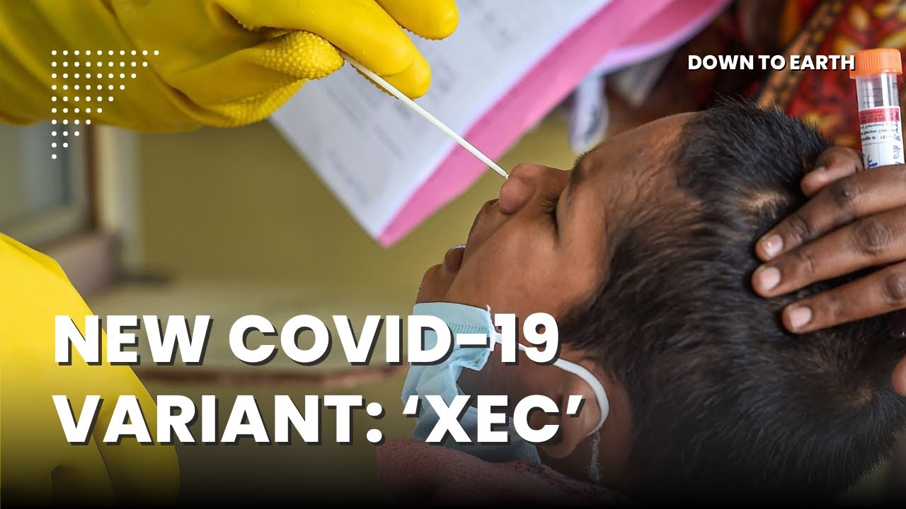 Why is the new COVID-19 variant, XEC, 'more contagious'?