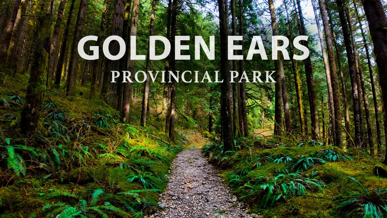 Golden Ears Nature Escape - Quiet Trails & Soothing Waterfall Views