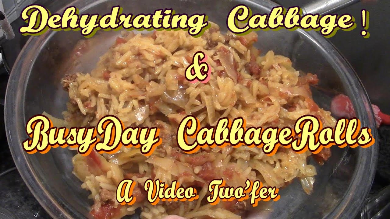 Busy Day Cabbage Rolls & Dehydrating Cabbage