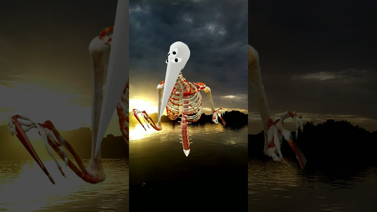Appears From The Portal God Of Roadkill, ||
