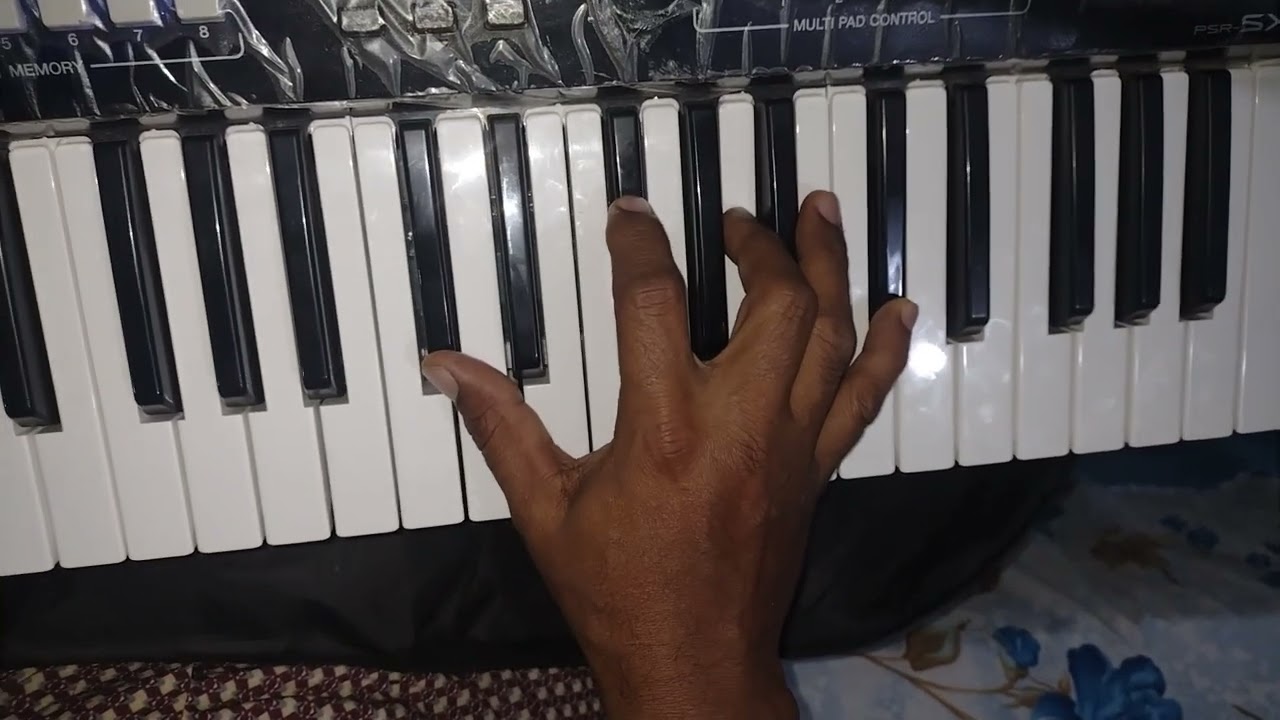 Como Tocar a música (Viver em Paz) Asas livres - versão arrocha (COVER).