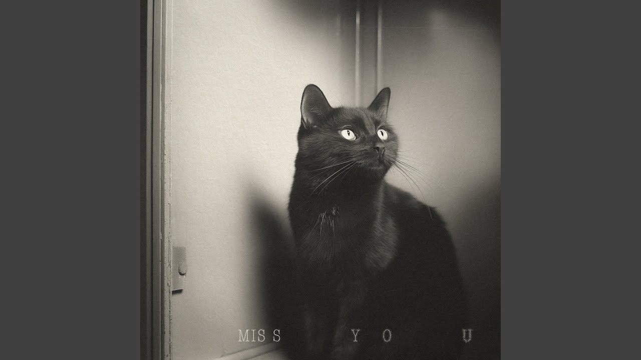 Miss You