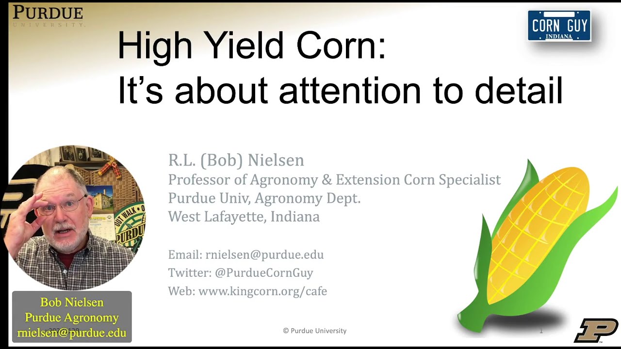 High Yield Corn: It's About Attention to Detail!