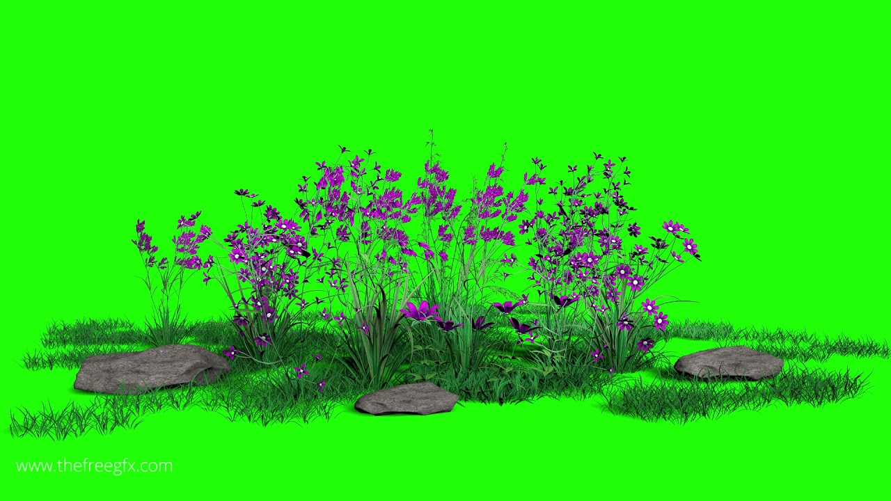 garden flowers in wind blue screen and green screen video