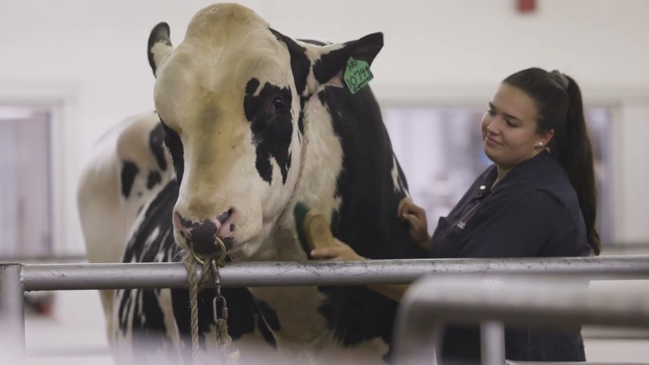 Semex Housing & Operations