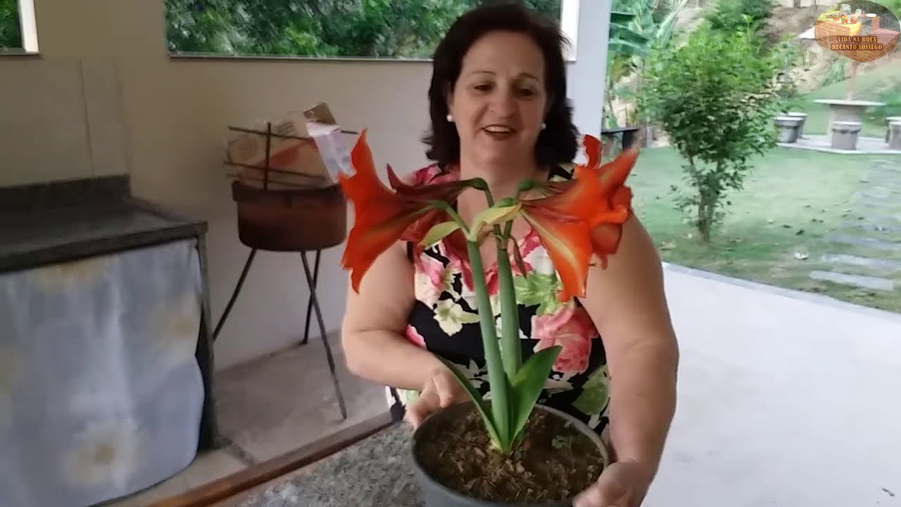 ALMOÇO APÓS MUITO TRABALHO NA LIDA - VIDA NA ROÇA - COISAS DA ROÇA