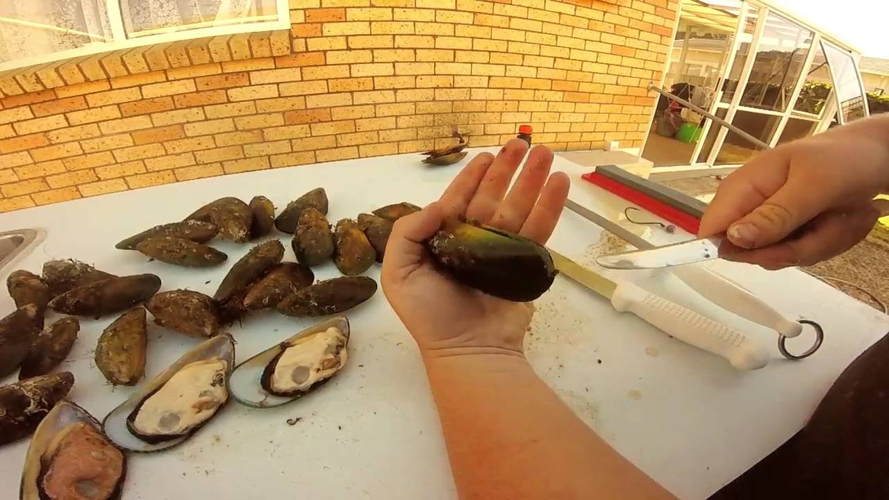 How to Shuck a Mussel