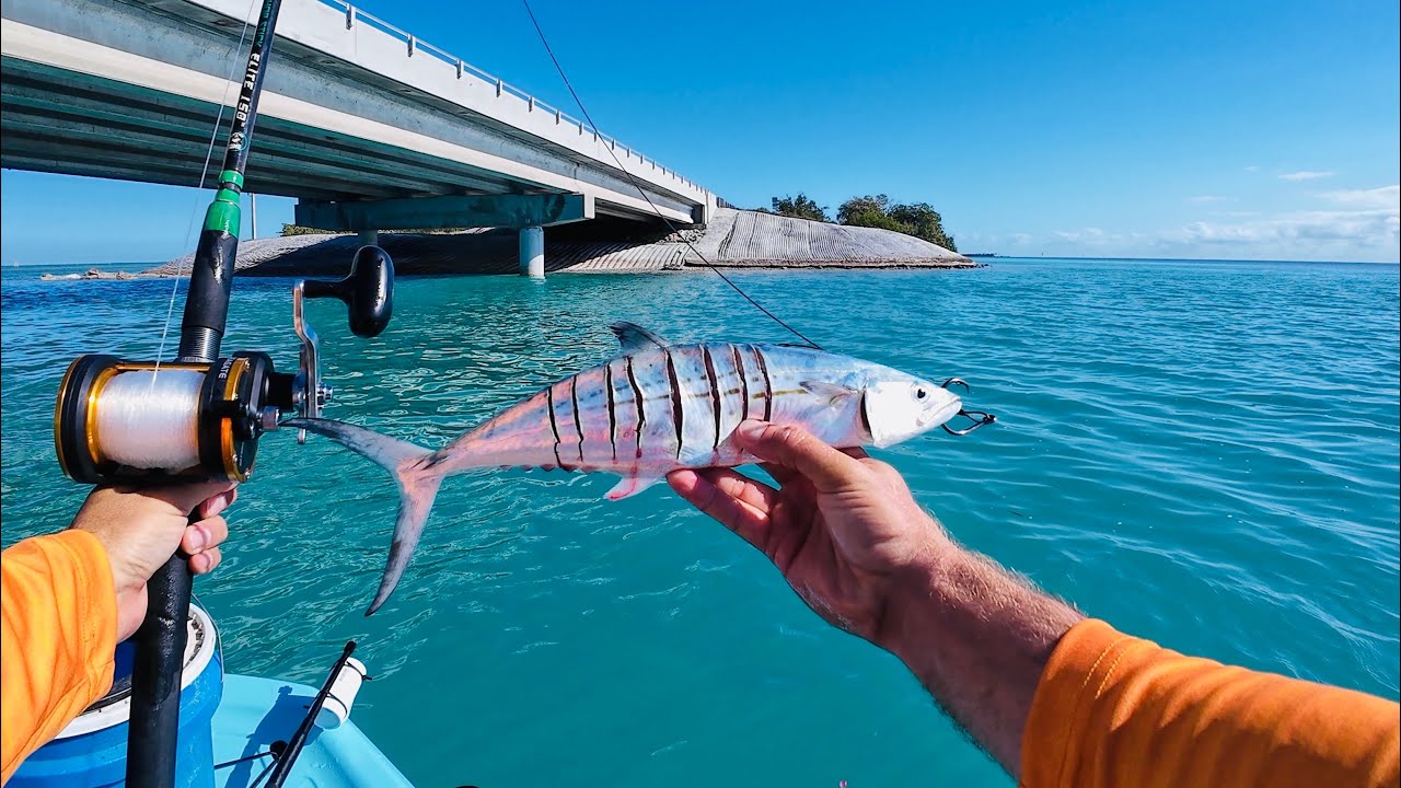 Florida Keys Shark Fishing in a Kayak | Islamorada