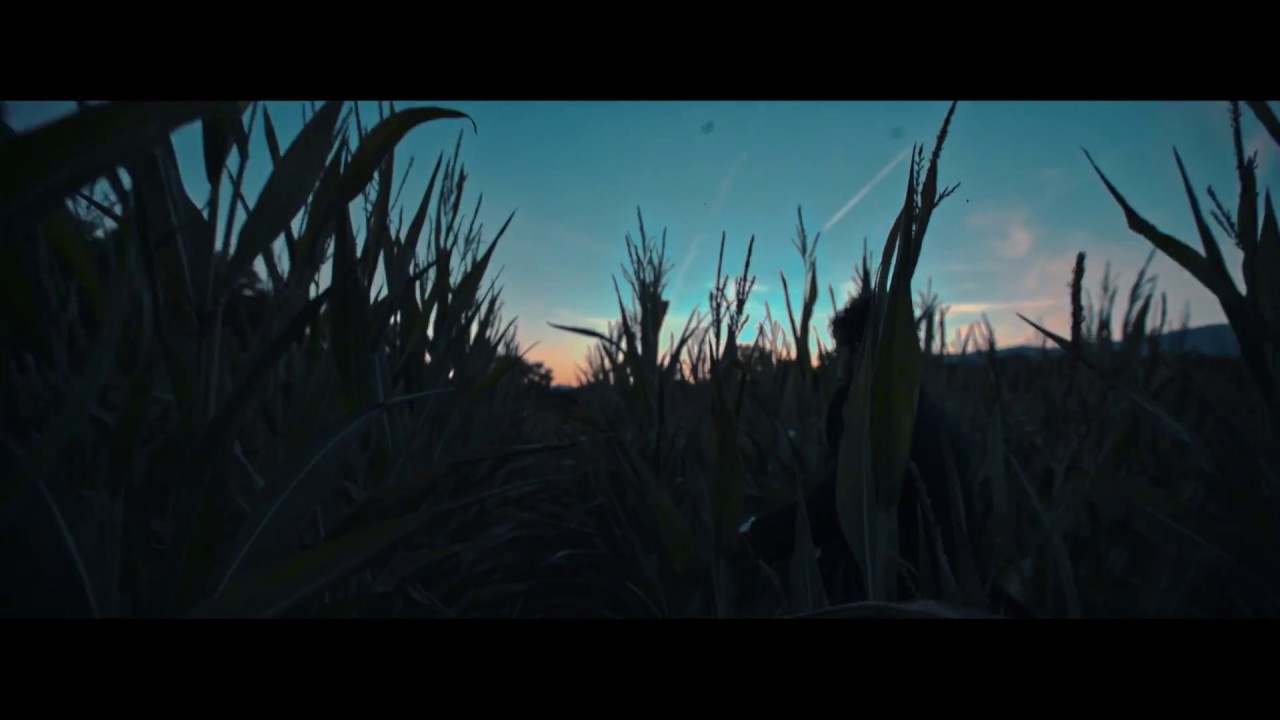 HBF films* - No Zone (LP)
