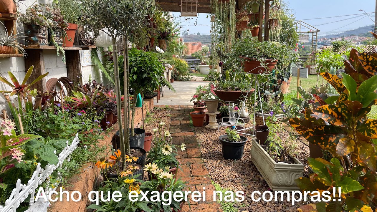 Comprei muitos topiarios, flores echinaceas!!Meu sonho realizado!!
