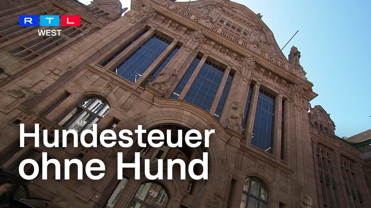 Hundesteuer ohne Hund? Showdown vor dem Verwaltungsgericht Düsseldorf | RTL WEST