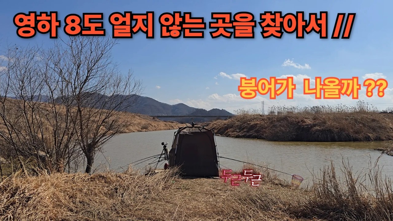 영하 8도 얼지 않는 곳을 찾아서 //