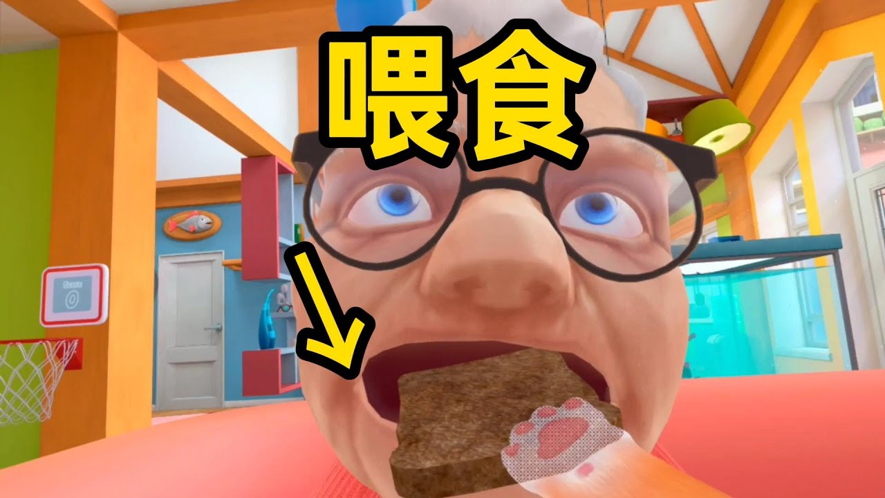 奶奶的贴心小猫｜I AM CAT