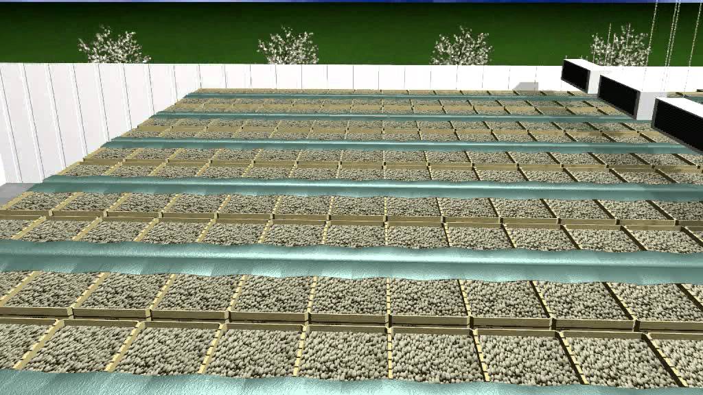 Potato and onion storage system using a suction wall.