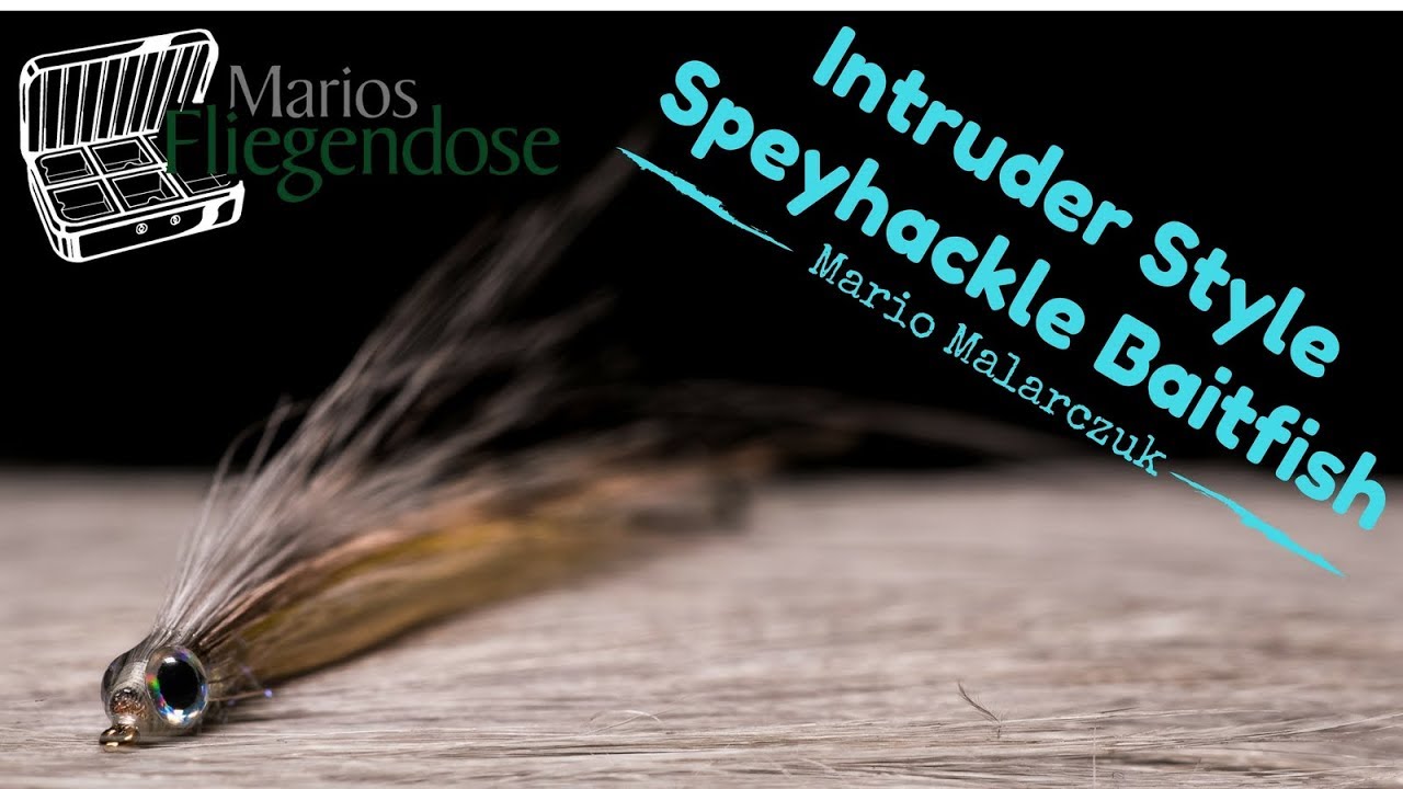 Marios Fliegendose - Fliegenbinden - Intruder Style Speyhackle Baitfish