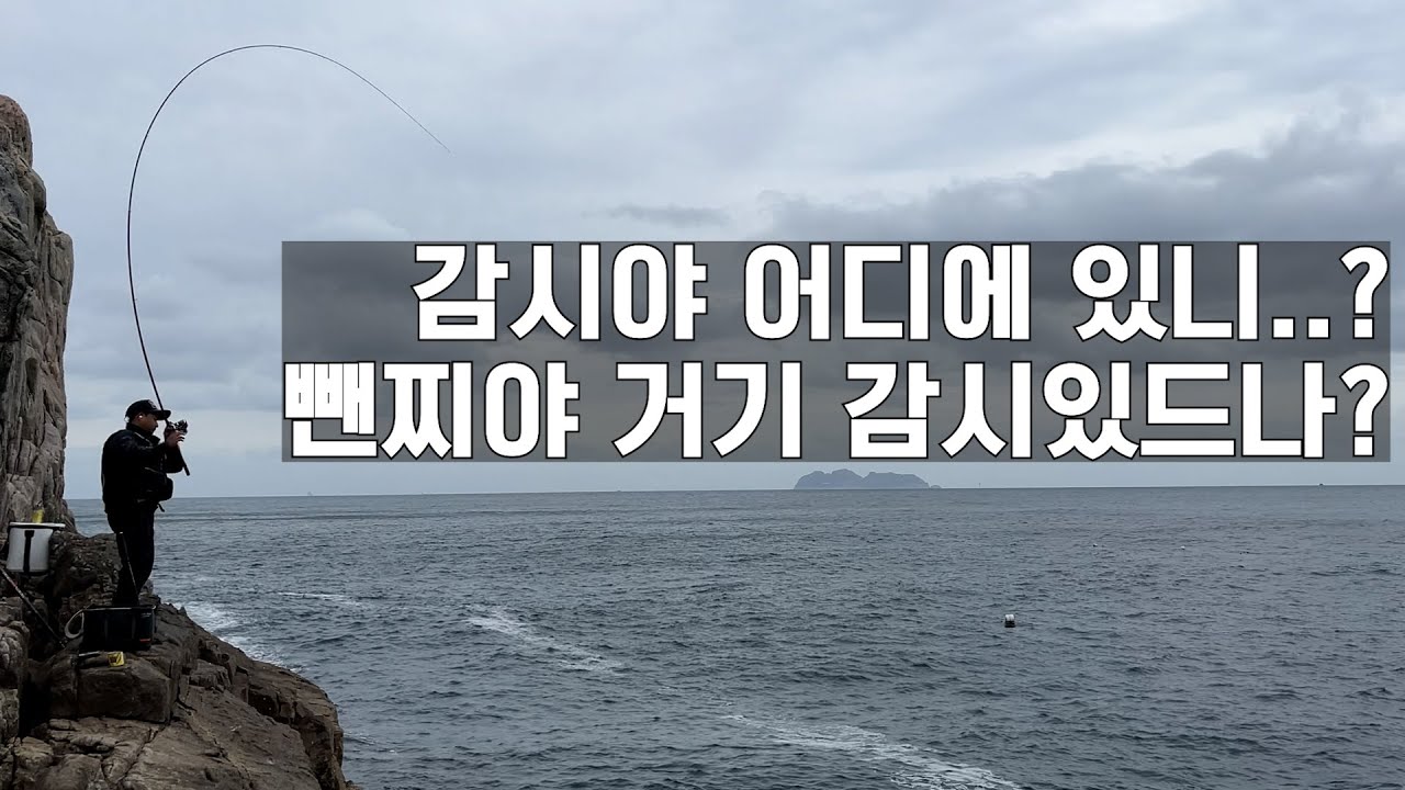 감성돔이 잡고싶다는데 왜 자꾸 뺀찌가 나와