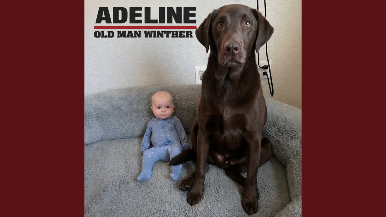 Adeline (Folk Version)