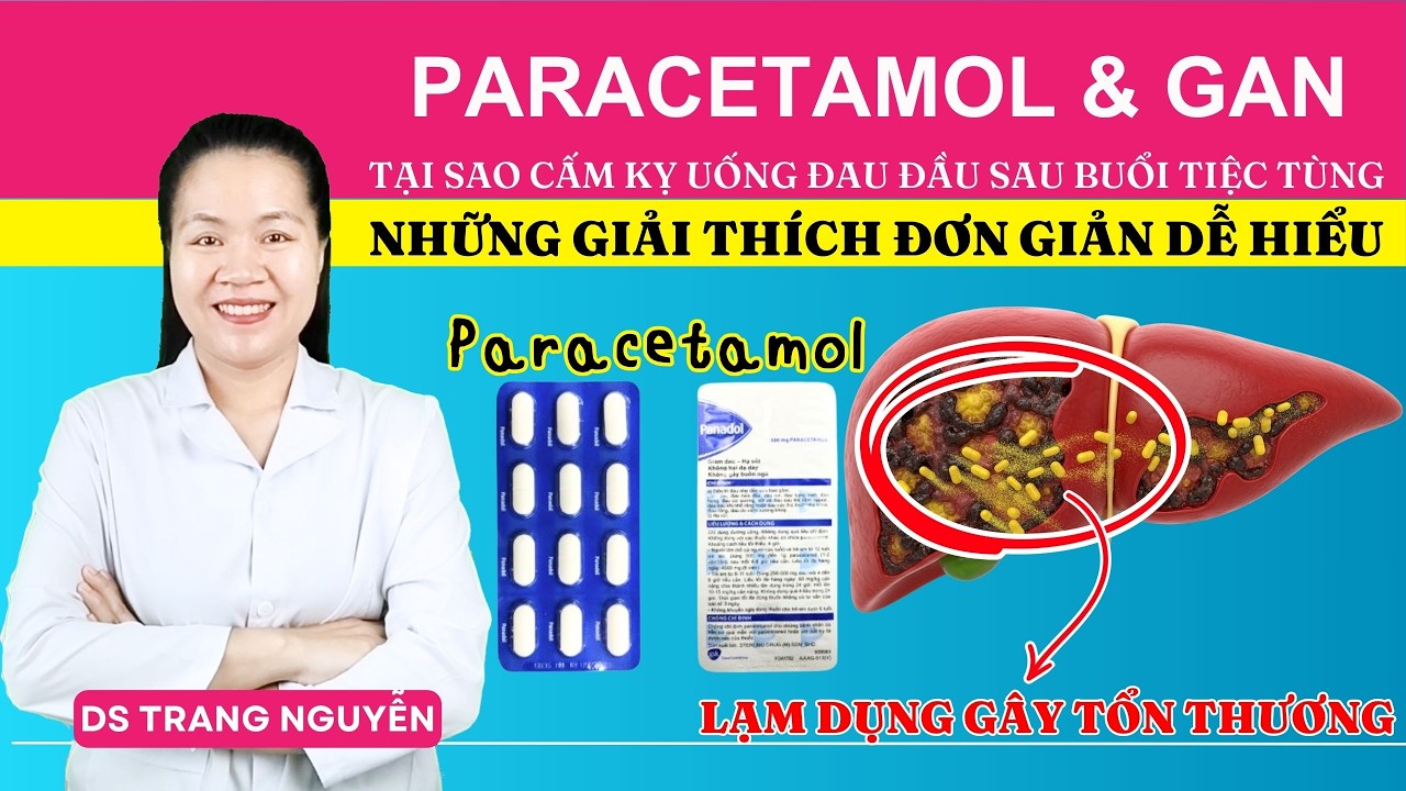 Paracetamol & Gan: Tại sao cấm kỵ uống thuốc đau đầu sau bữa tiệc tối?